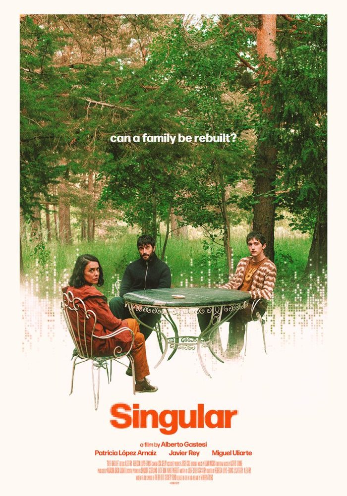 SINGULAR - poster