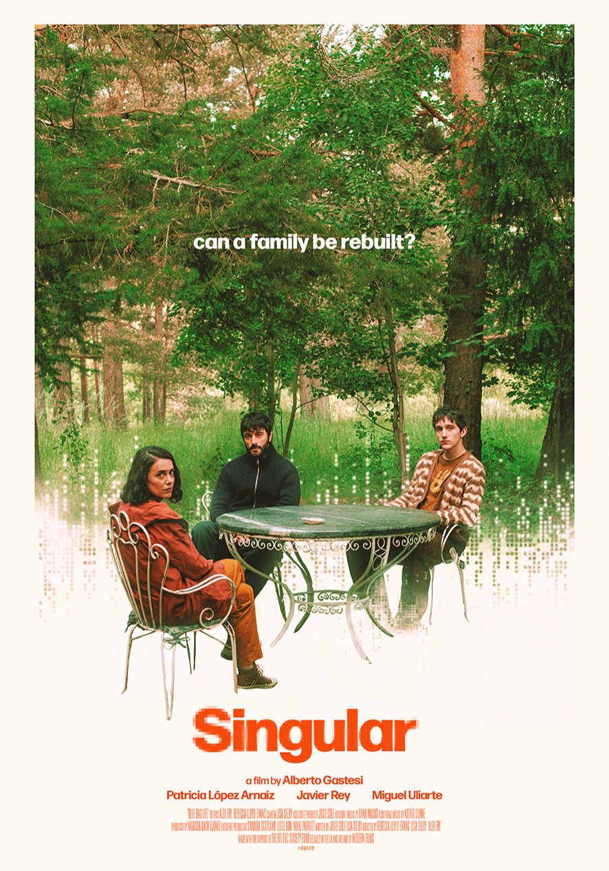 SINGULAR - poster