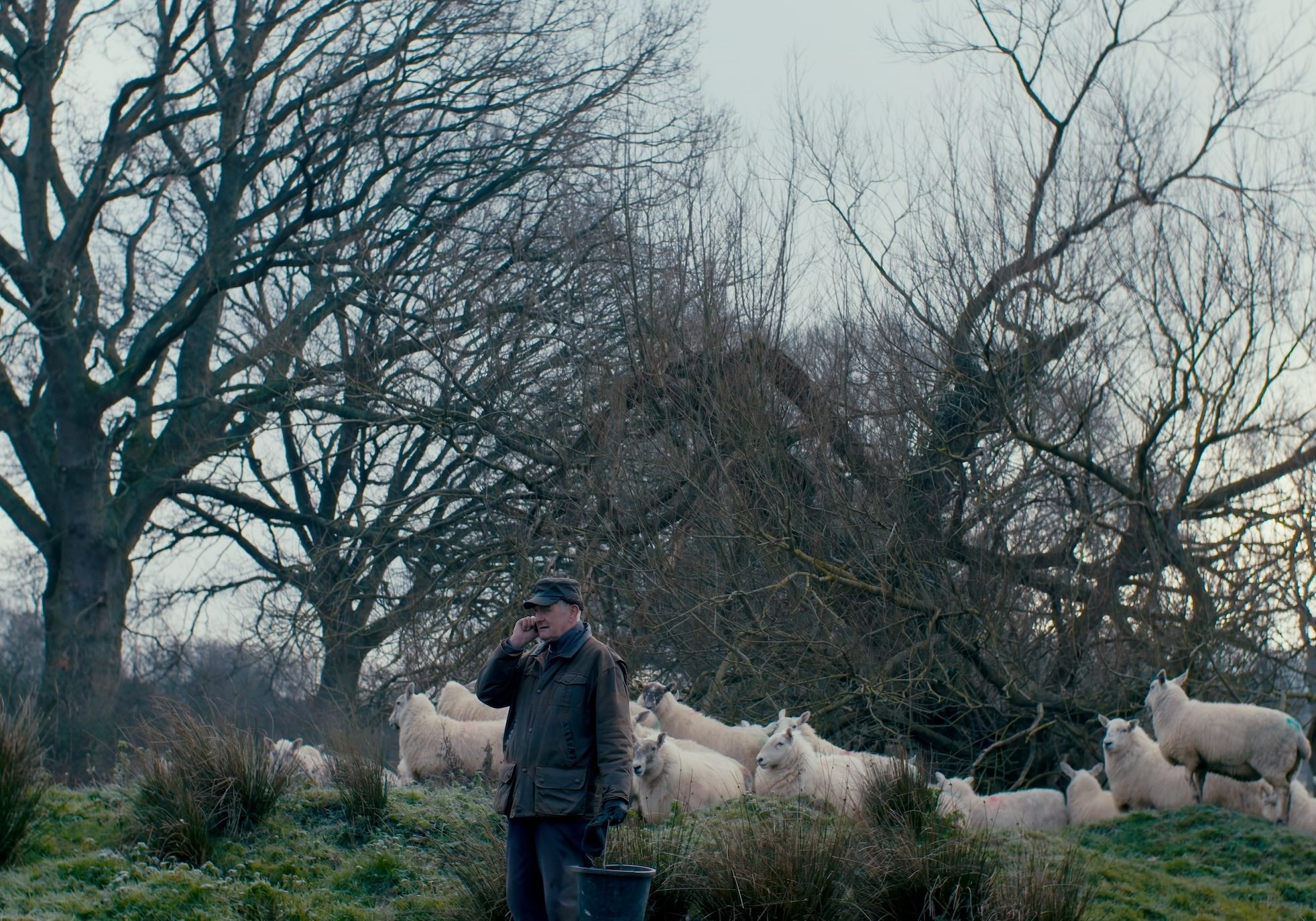 THE OLD MAND AND THE LAND